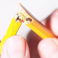 5 Kinds of  Broken Things