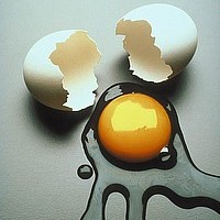 The Purpose of Spiritual Training