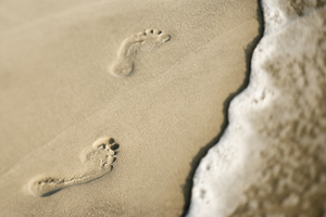 Footprints in the Sand